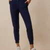 Phoenix Jogger (Midnight Sky) -Greyson Sales Store LSP22B52 418 9334 FRONT