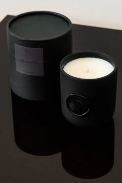 Icon Wolf Wax Seal Fig Candle -Greyson Sales Store MG23A91 001 2